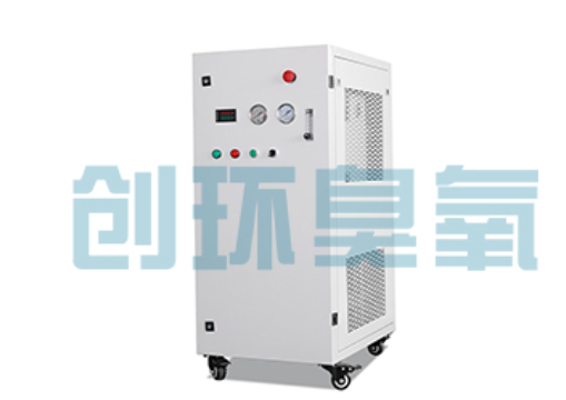 静海石斑鱼养殖水质调控完整指南：臭氧发生器配置与操作步骤