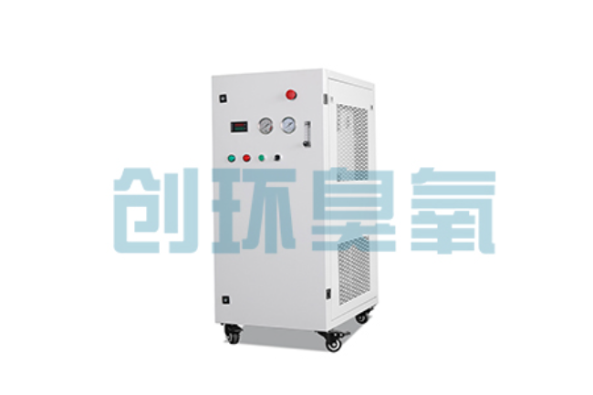 静海比传统换水更高效?臭氧发生器在石斑鱼养殖中的水质净化原理解析